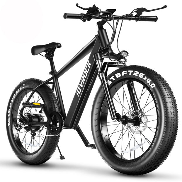 SivrockNZ Cruiser E-Bike