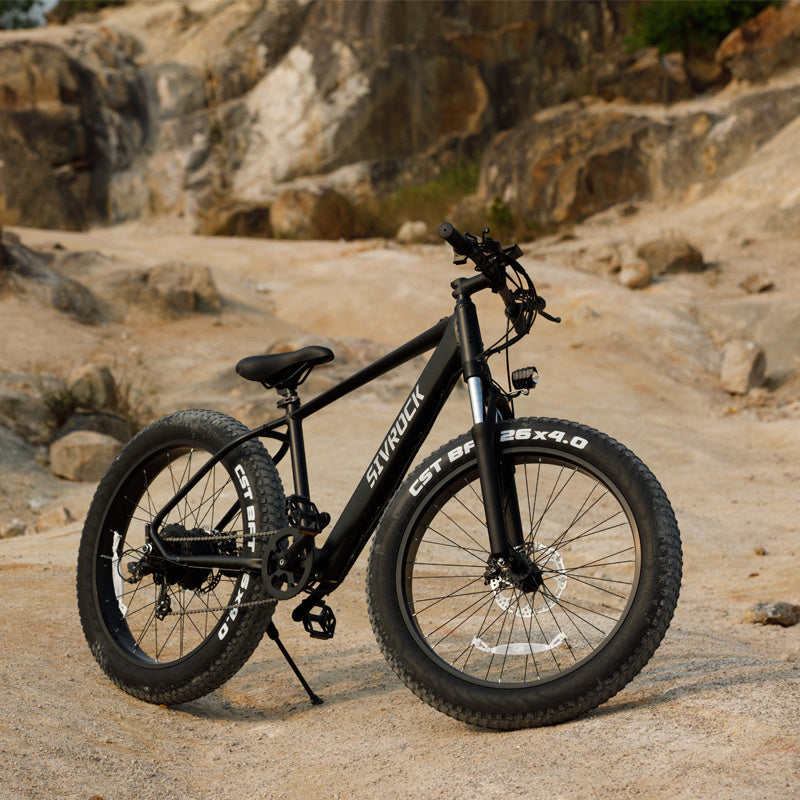 SivrockNZ Cruiser E-Bike